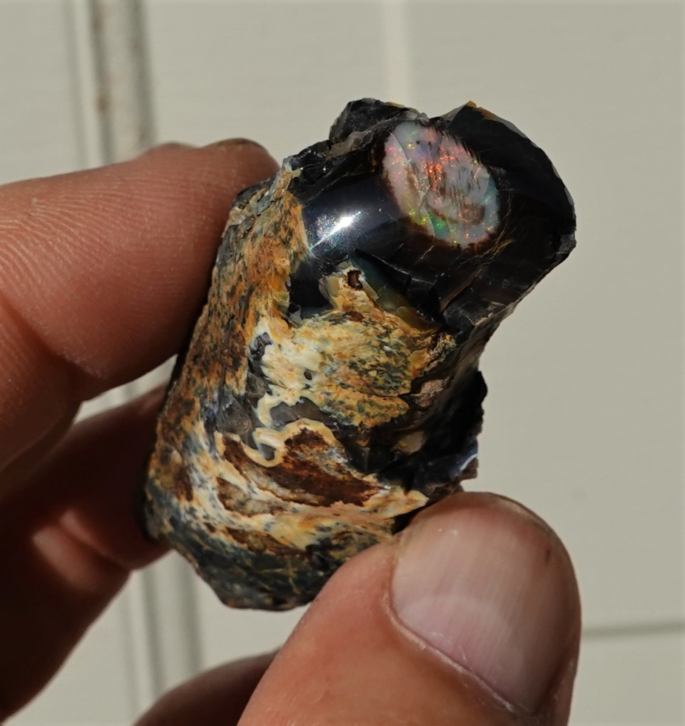 Opal (#10018) – Virgin Valley Opal Mine